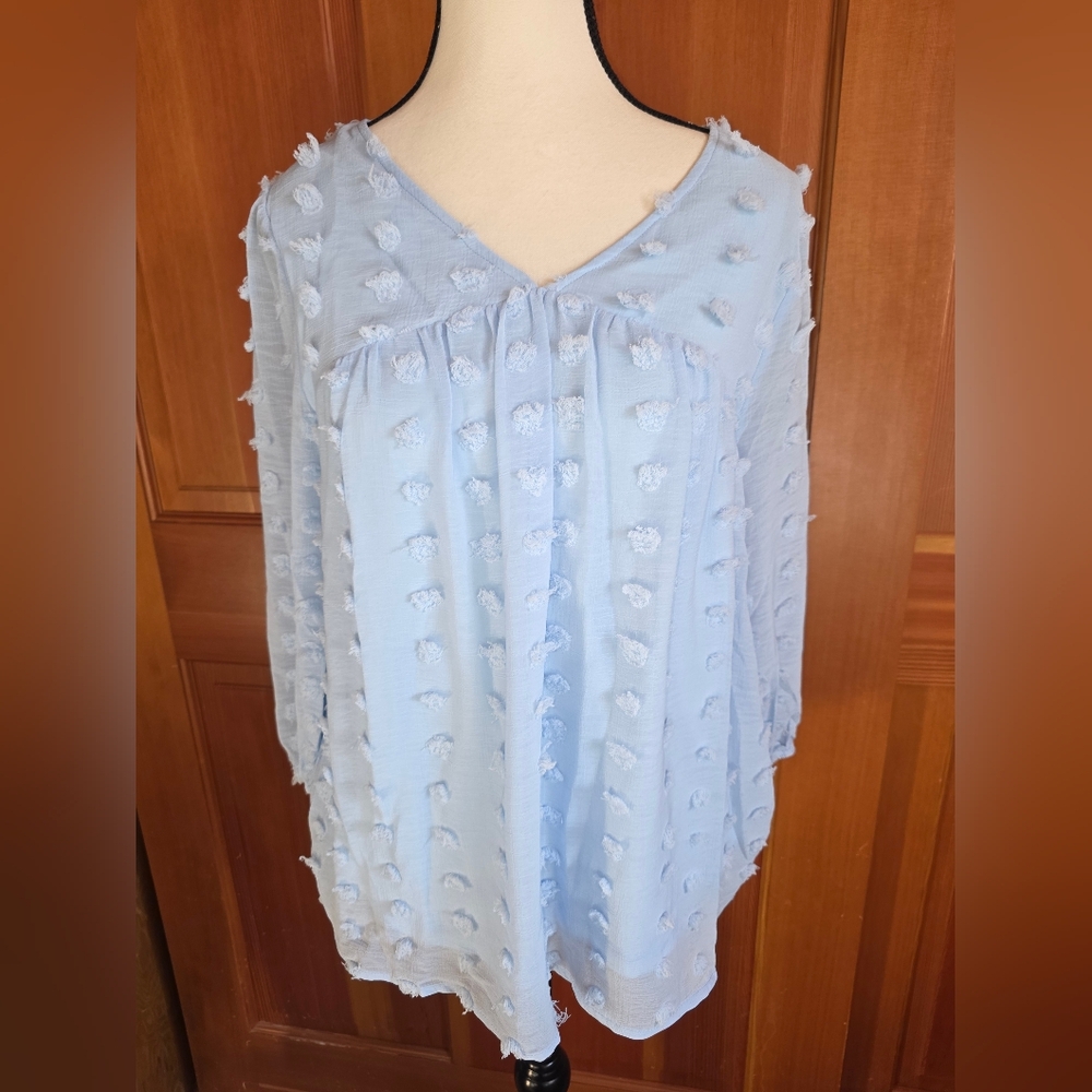Jodifl Light Blue Top With Knit Swiss Dots Size Small